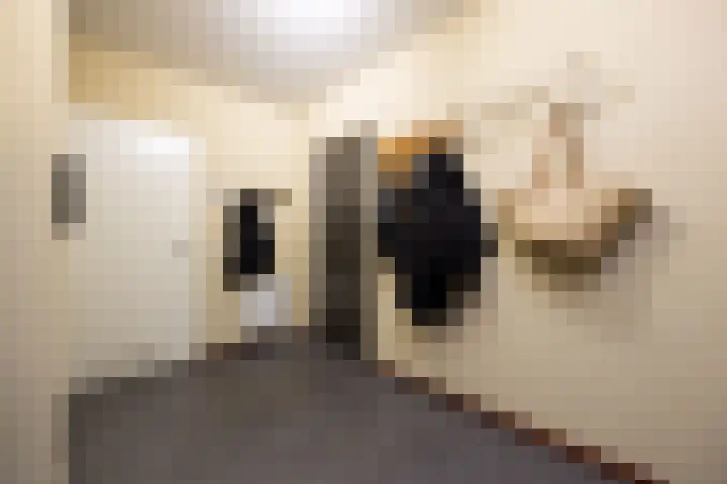 Banier 12 Boxtel thumbnail 11