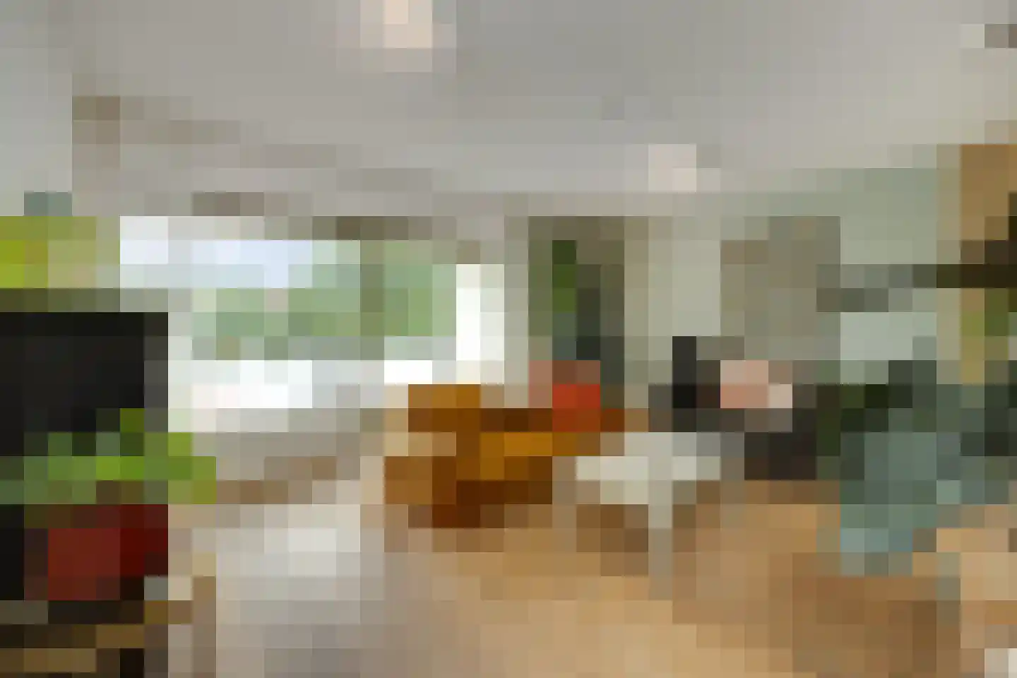Banier 12 Boxtel thumbnail 16