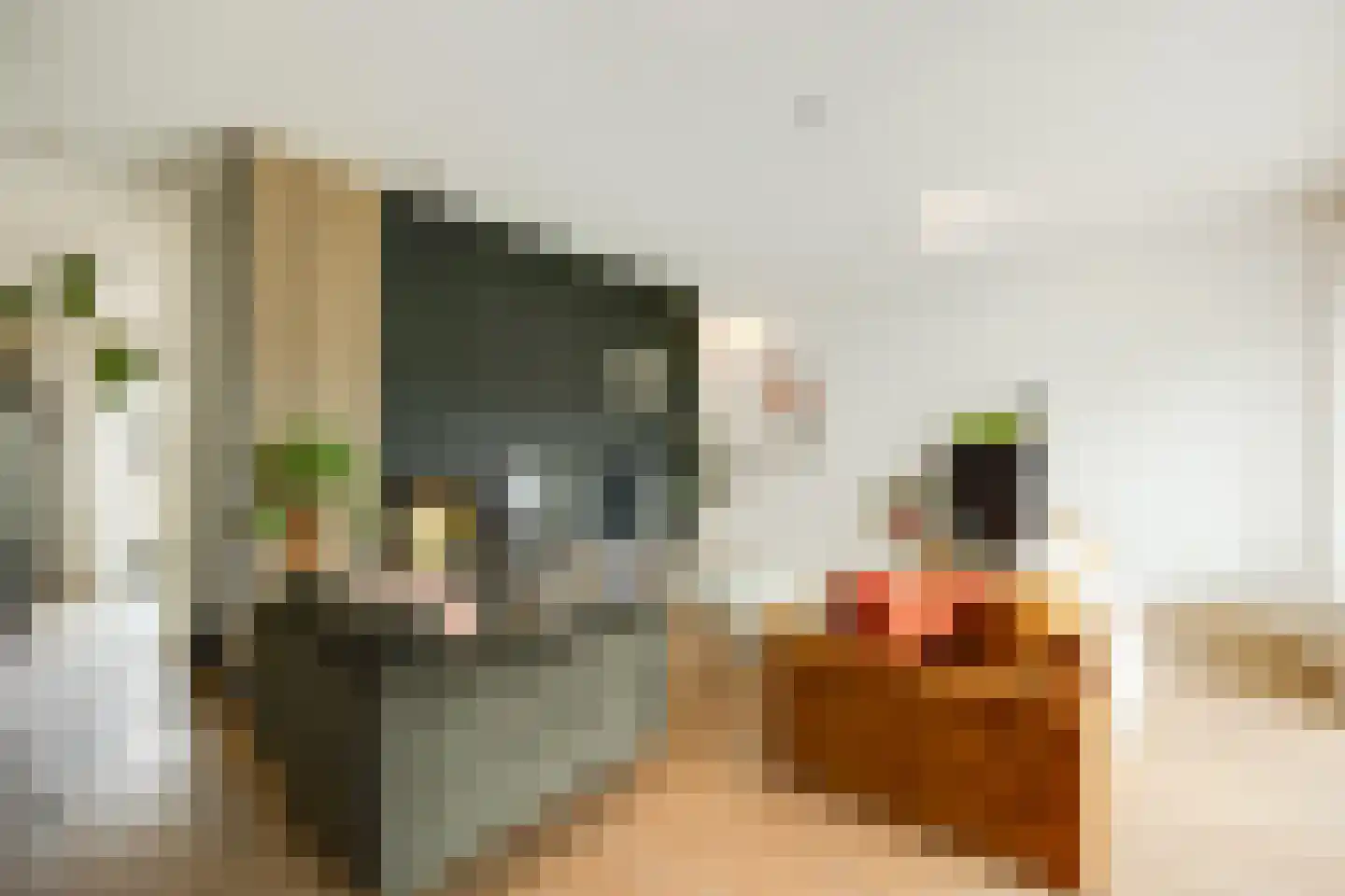 Banier 12 Boxtel thumbnail 18
