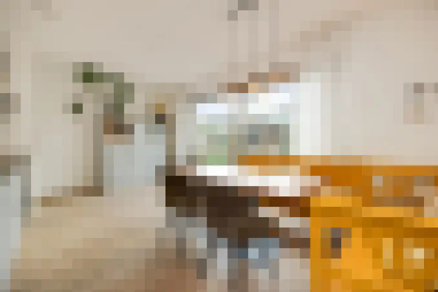 Banier 12 Boxtel thumbnail 21