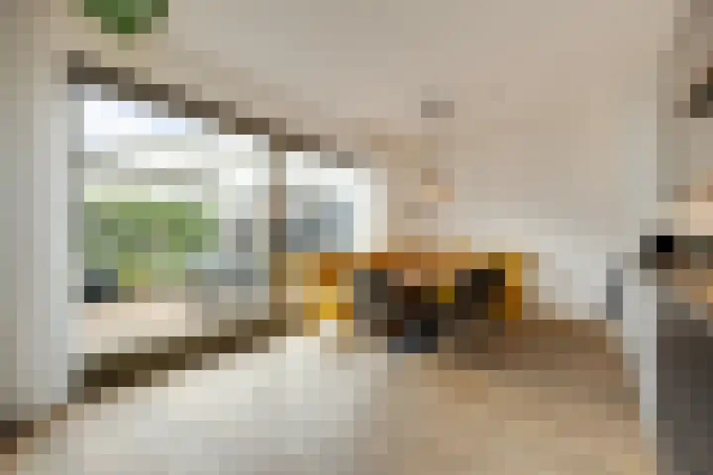 Banier 12 Boxtel thumbnail 22