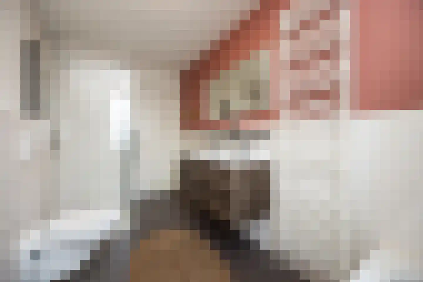 Banier 12 Boxtel thumbnail 43