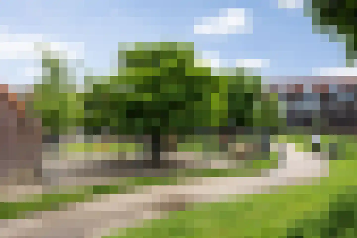 Banier 12 Boxtel thumbnail 55