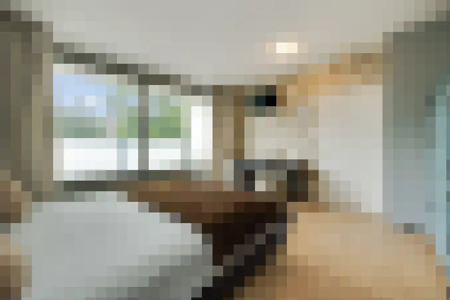 Banier 12 Boxtel thumbnail 6