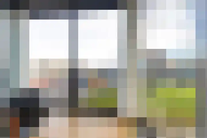 Banier 32 Boxtel thumbnail 31