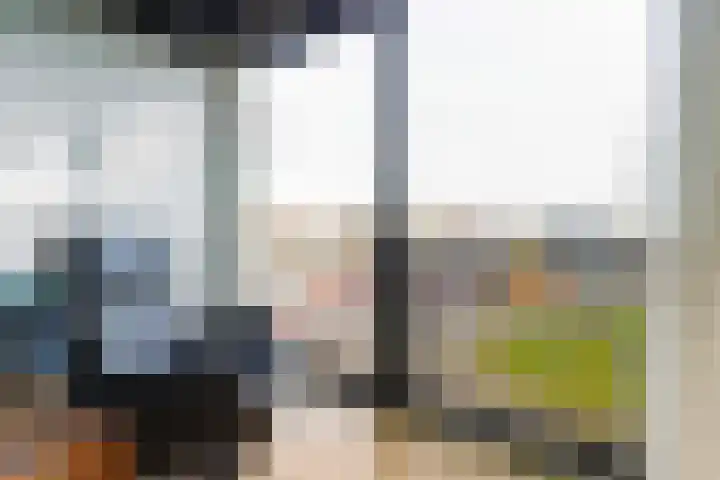 Banier 32 Boxtel thumbnail 32