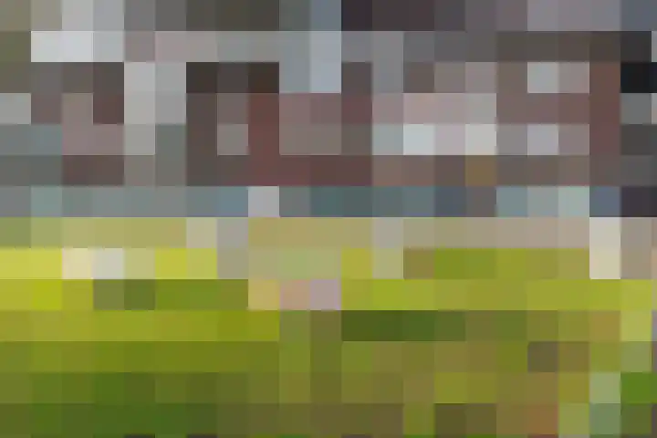 Banier 32 Boxtel thumbnail 5