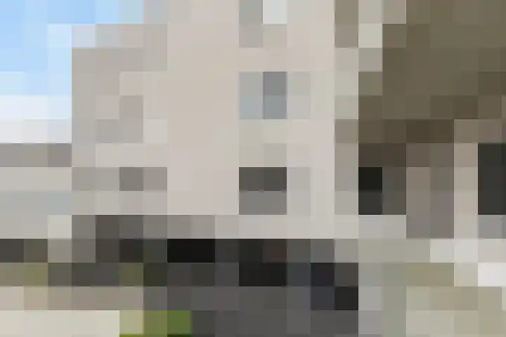 Banier 37 Boxtel thumbnail 10
