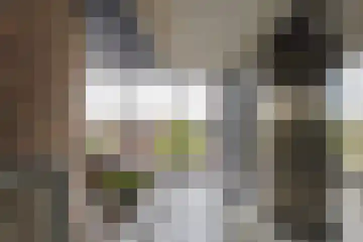 Banier 37 Boxtel thumbnail 13