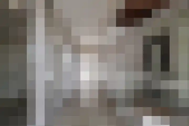 Banier 37 Boxtel thumbnail 14