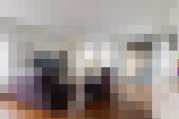 Banier 37 Boxtel thumbnail 20