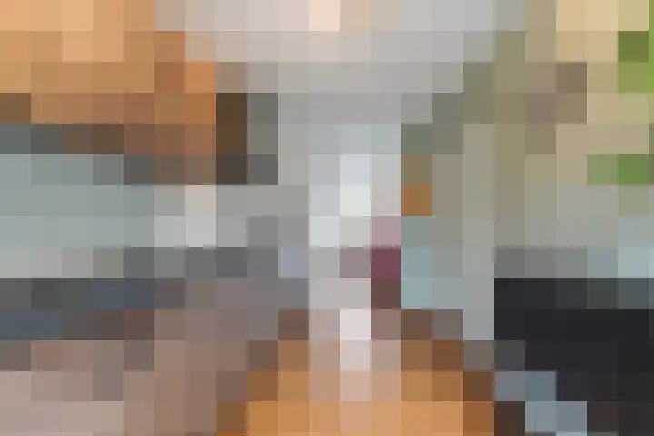 Banier 37 Boxtel thumbnail 28