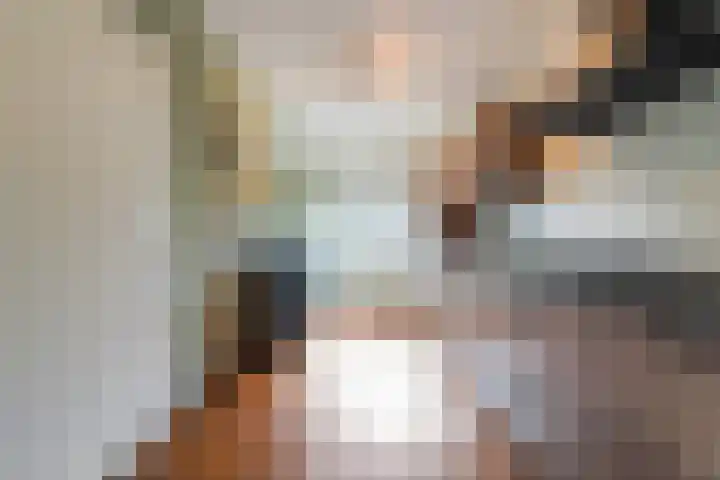 Banier 37 Boxtel thumbnail 29