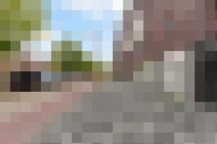 Banier 37 Boxtel thumbnail 5