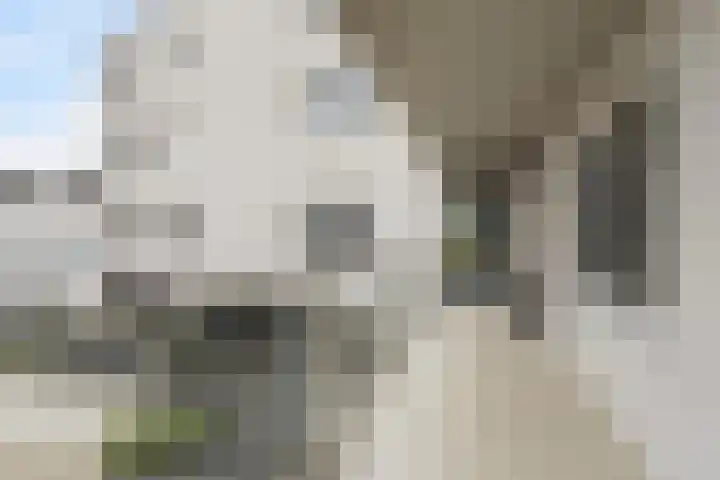 Banier 37 Boxtel thumbnail 9