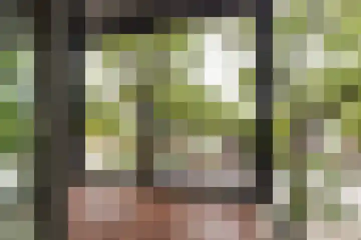 Banier 40 Boxtel thumbnail 19