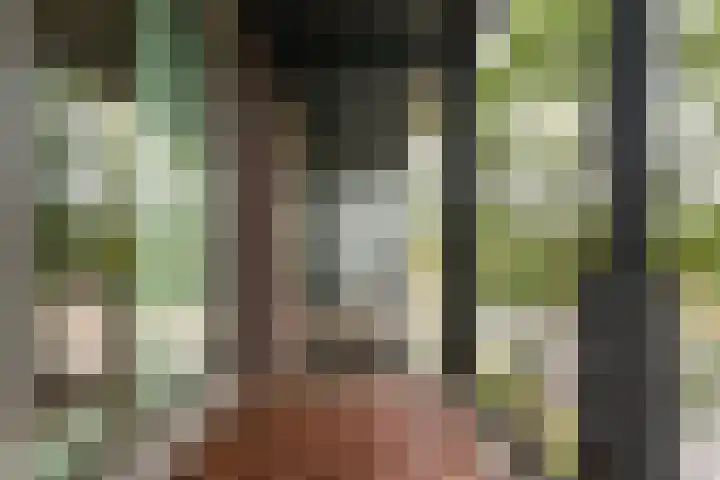 Banier 40 Boxtel thumbnail 20