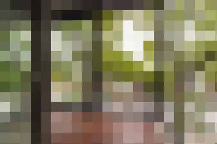 Banier 40 Boxtel thumbnail 22
