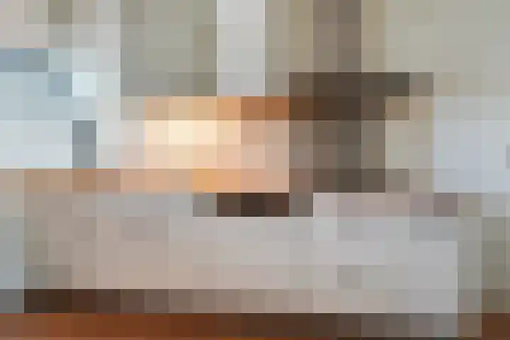 Banier 40 Boxtel thumbnail 30