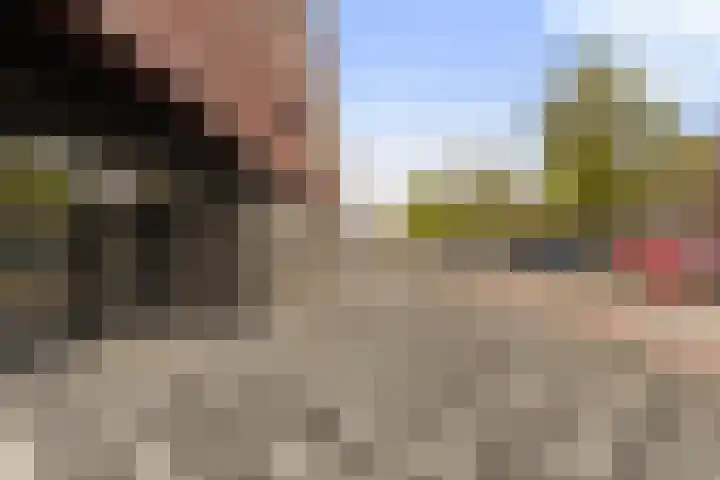 Banier 40 Boxtel thumbnail 4