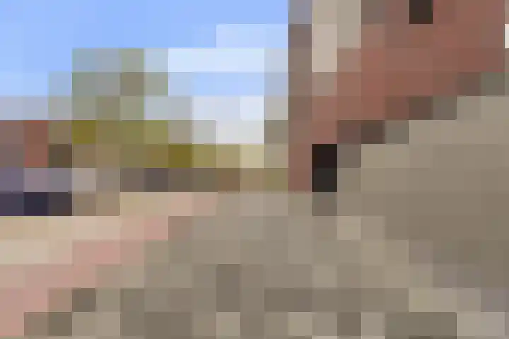 Banier 40 Boxtel thumbnail 5