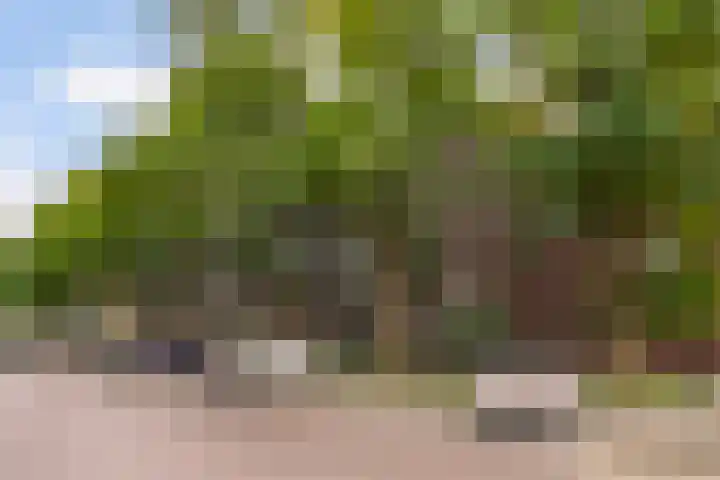 Banier 40 Boxtel thumbnail 51