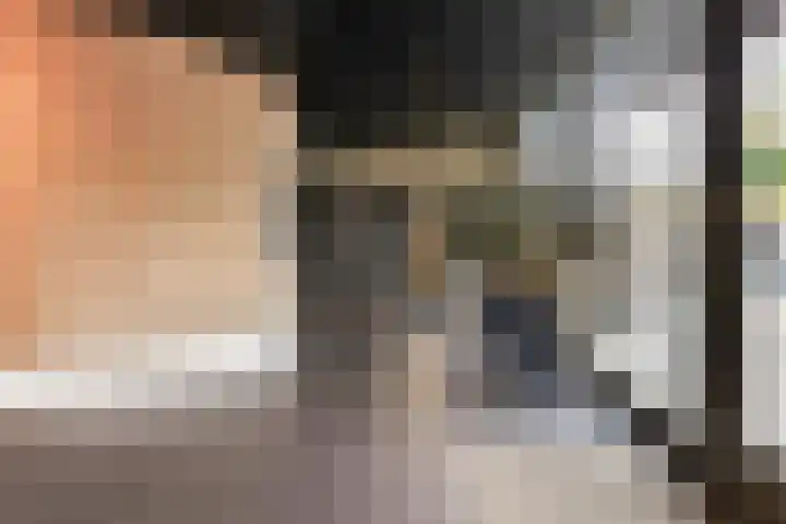 Banier 40 Boxtel thumbnail 8