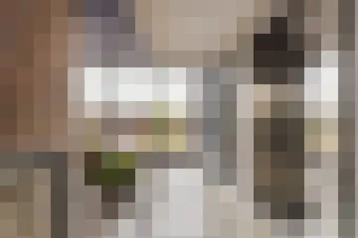 Banier 40 Boxtel thumbnail 9