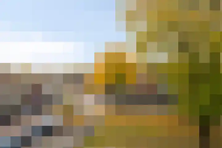Banier 57 Boxtel thumbnail 25