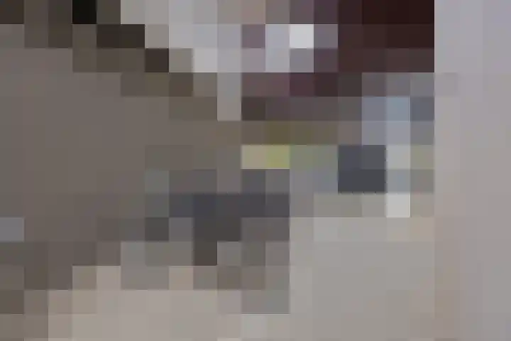 Banier 57 Boxtel thumbnail 29