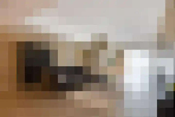 Banier 7 a Boxtel thumbnail 13