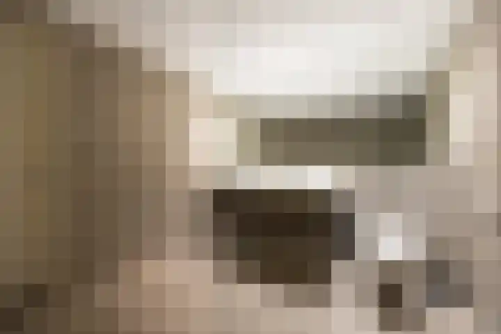 Banier 7 a Boxtel thumbnail 37