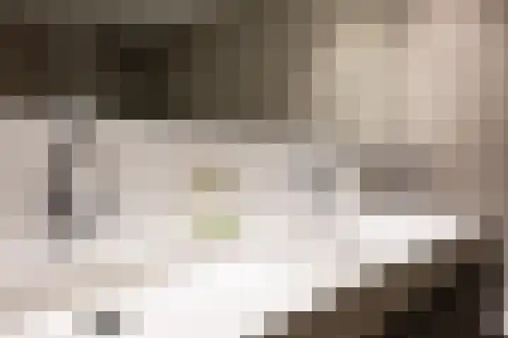 Banier 7 a Boxtel thumbnail 38