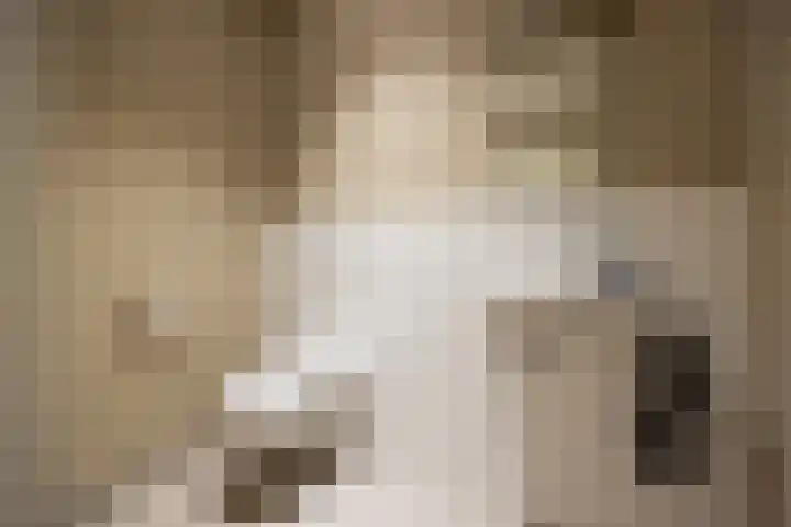 Banier 7 a Boxtel thumbnail 41
