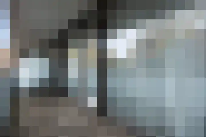 Banier 7 a Boxtel thumbnail 47