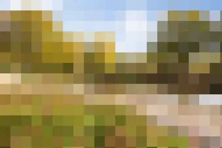 Banier 7 a Boxtel thumbnail 54