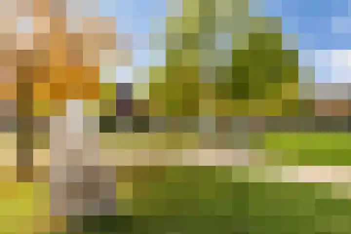 Banier 7 a Boxtel thumbnail 58