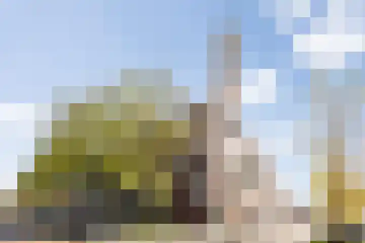 Banier 7 a Boxtel thumbnail 60