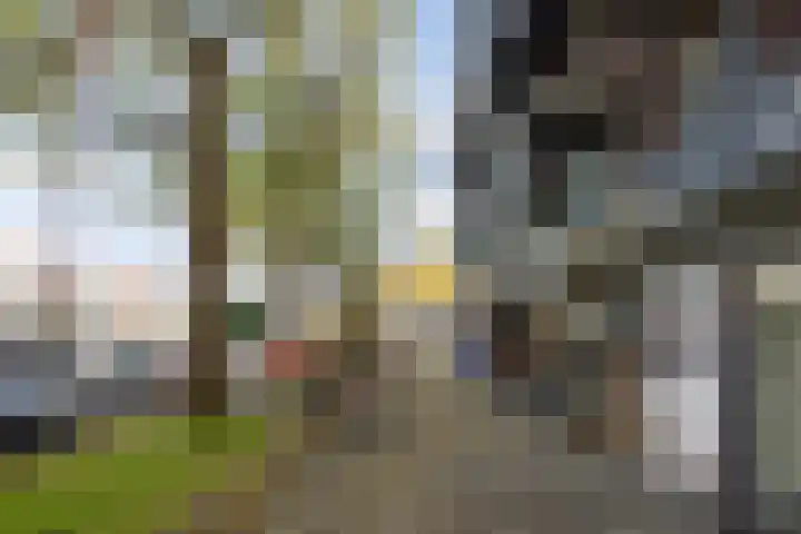 Banier 7 a Boxtel thumbnail 61