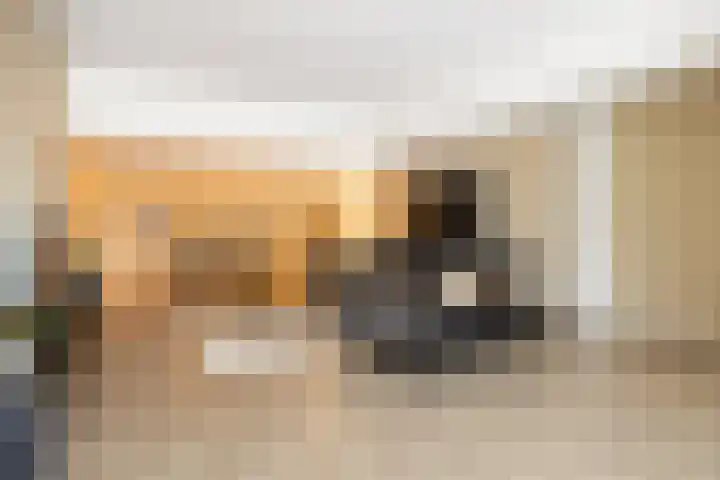 Banier 7 a Boxtel thumbnail 7
