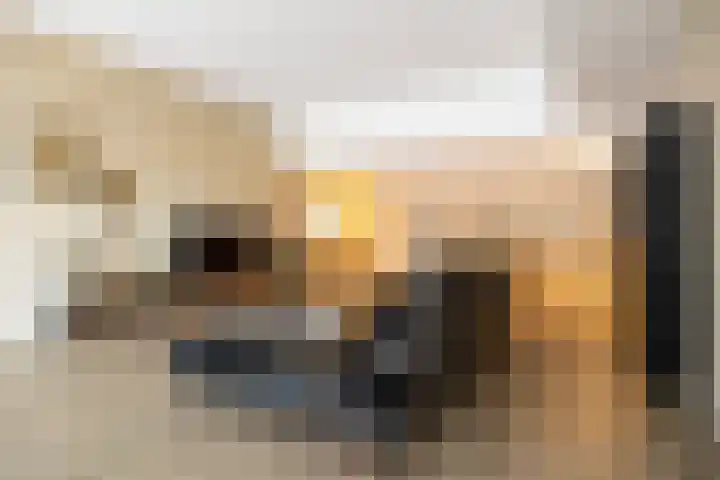 Banier 7 a Boxtel thumbnail 8
