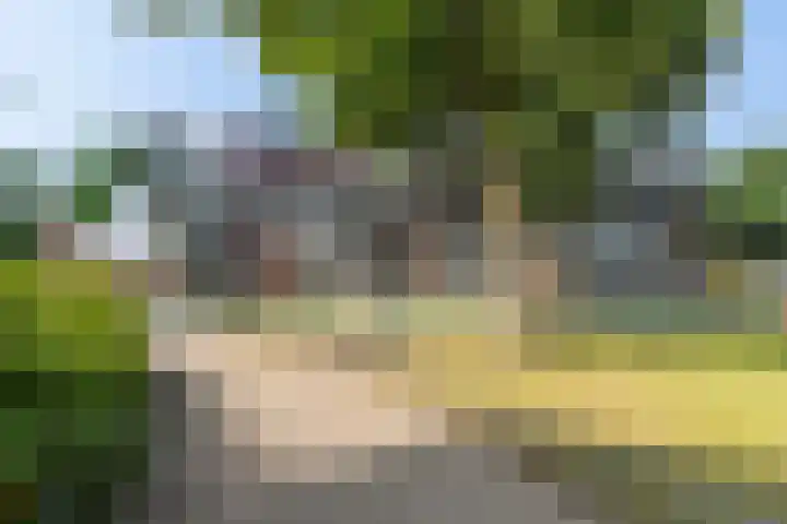 Banier 72 Boxtel thumbnail 4