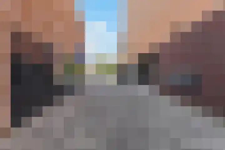 Banier 72 Boxtel thumbnail 8