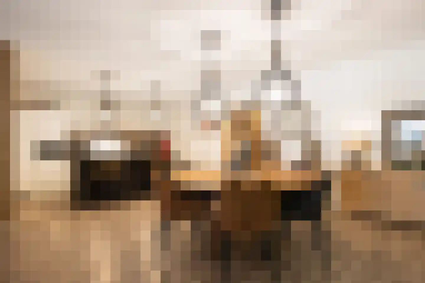 Banier 8 a Boxtel thumbnail 10