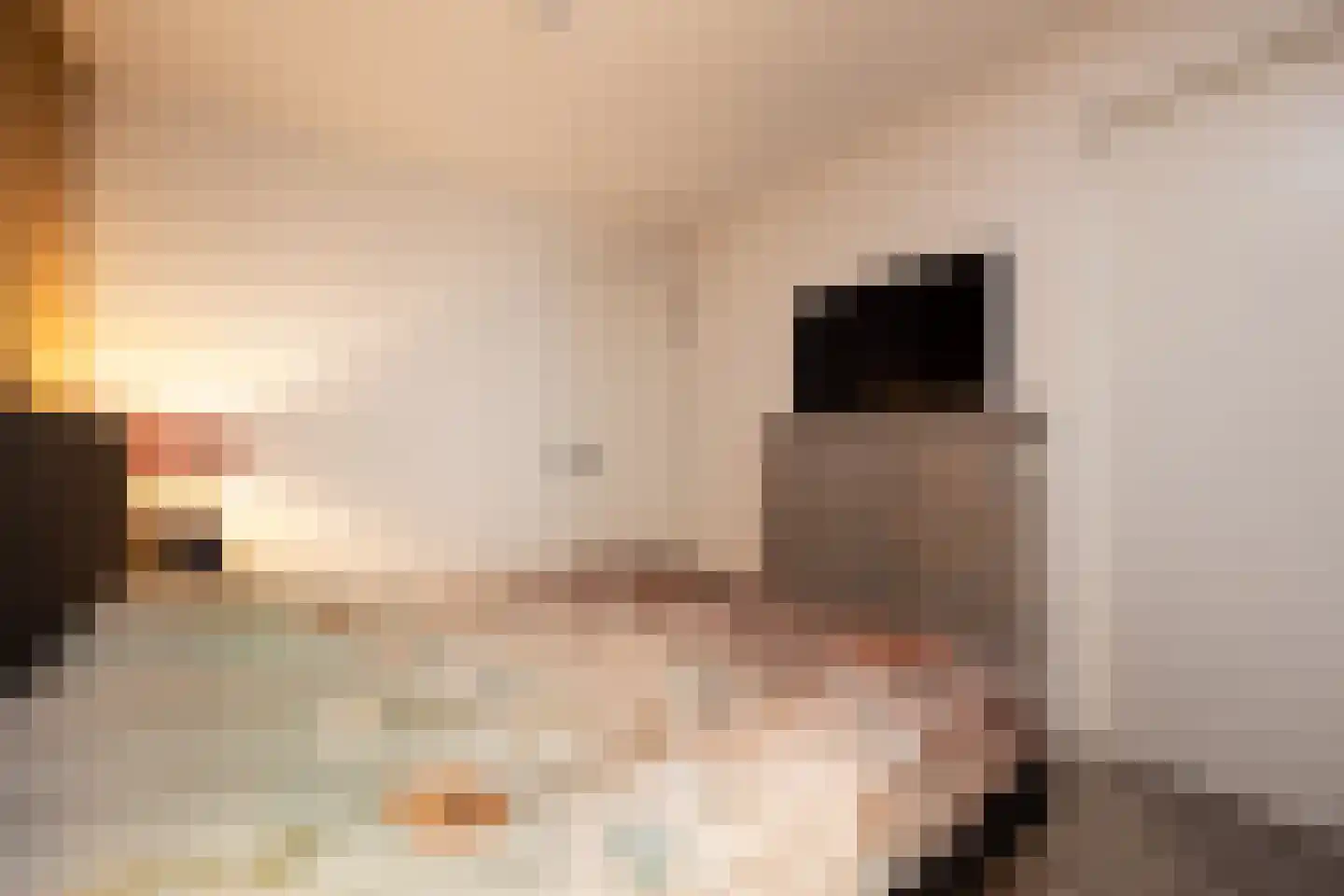Banier 8 a Boxtel thumbnail 22