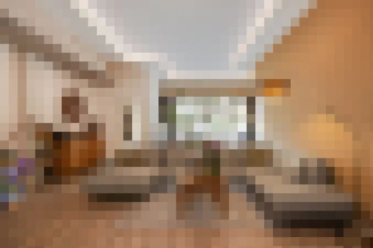 Banier 8 a Boxtel thumbnail 4