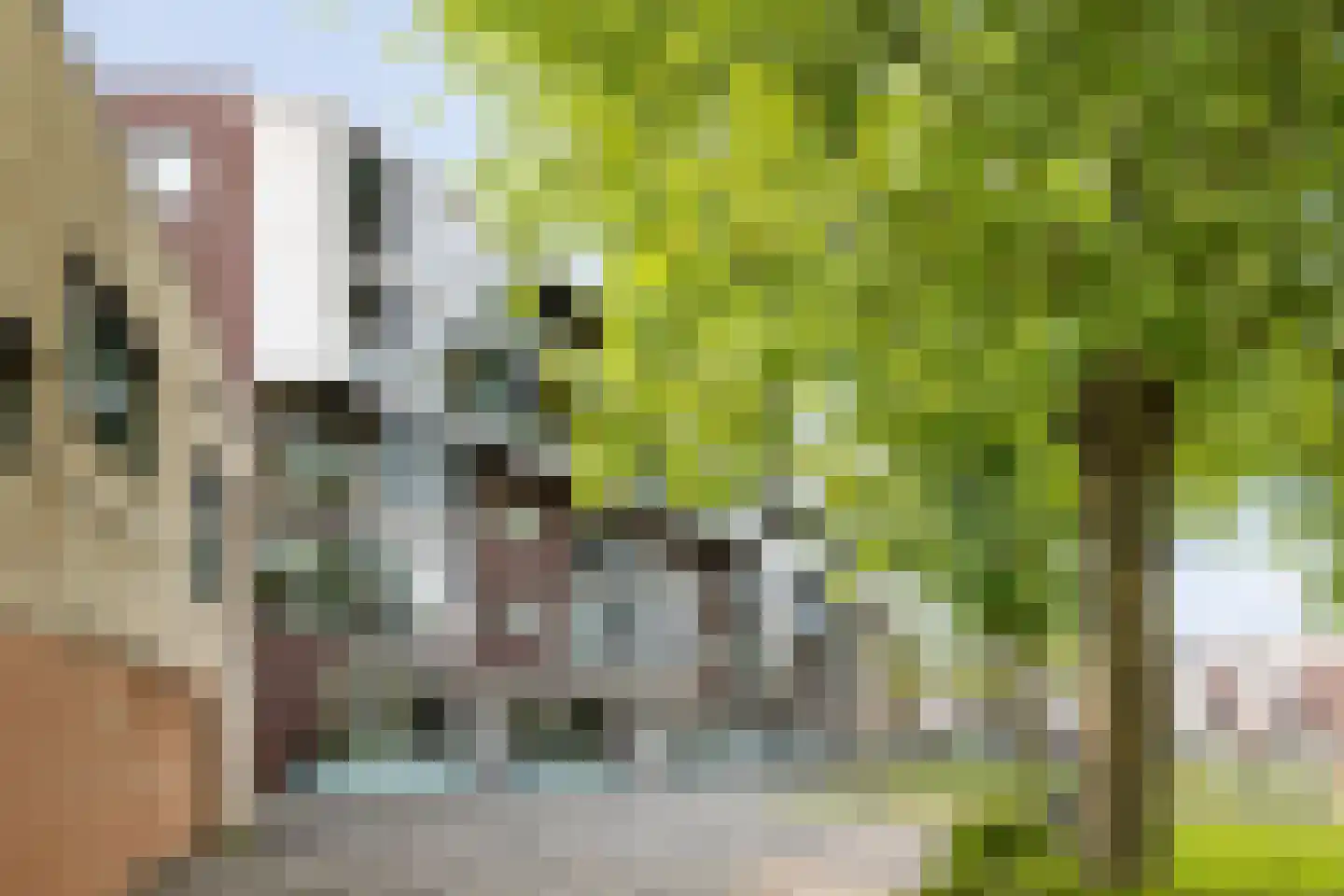 Banier 8 a Boxtel thumbnail 41