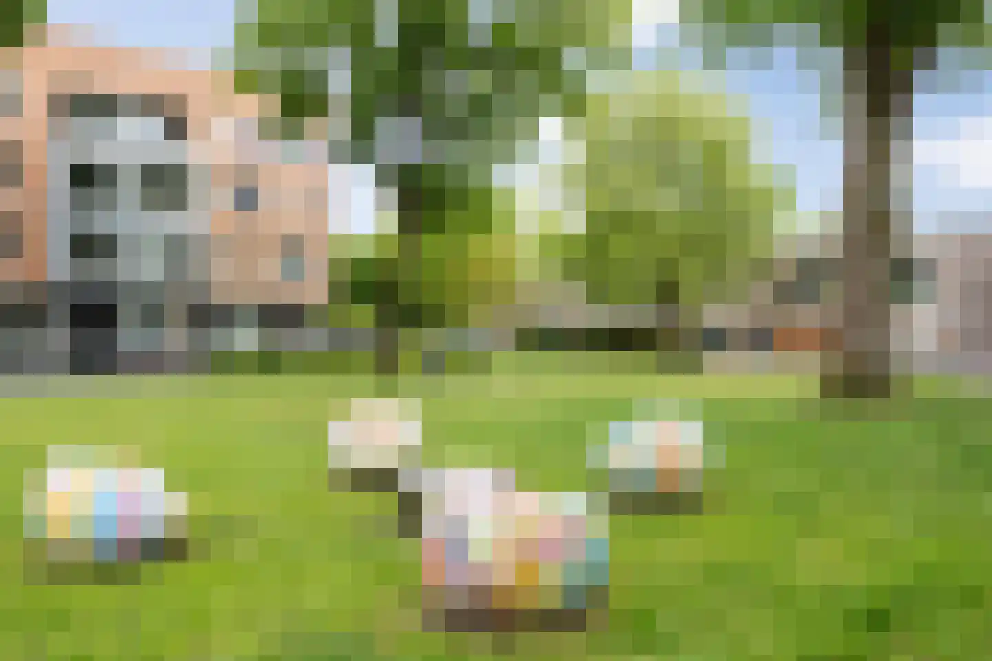 Banier 8 a Boxtel thumbnail 44