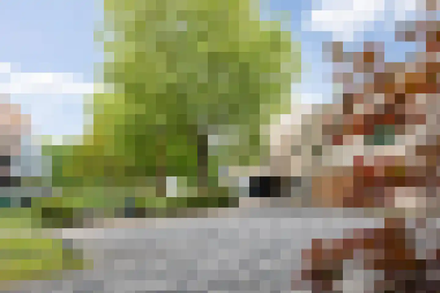 Banier 8 a Boxtel thumbnail 45