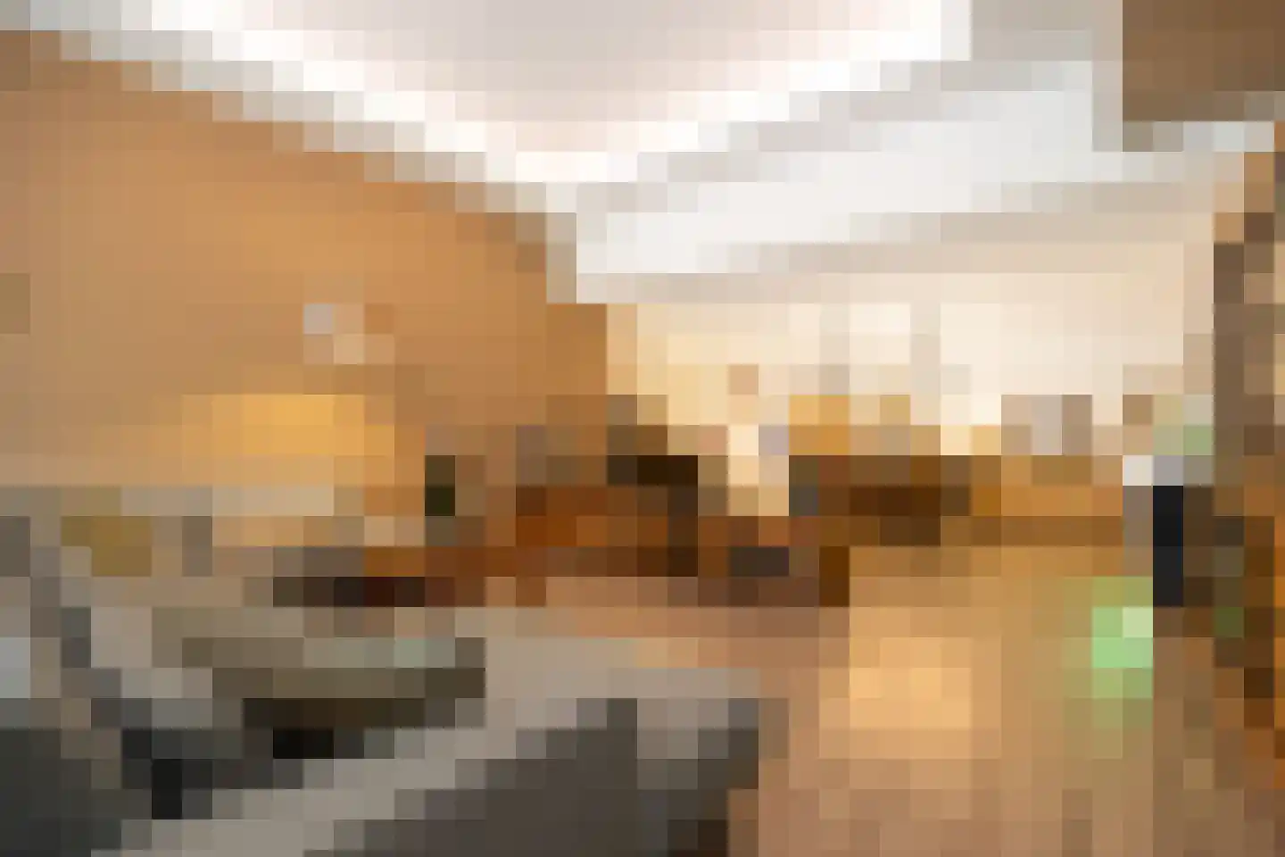 Banier 8 a Boxtel thumbnail 5